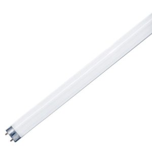 Lâmpada Tubular T8 10W 33cm Fluorescente UV P/ Matar Insetos - (06026)