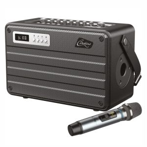 Coluna Amplificada All-In-One 100W 95dB C/ Microfone UHF - (ROADY-FL)