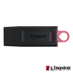 Pen USB 256GB USB 3.2 Kingston - (DTX/256GB)