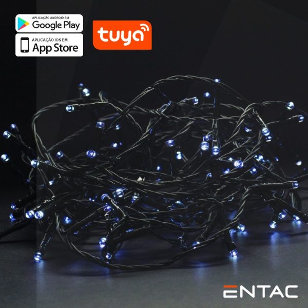 Luzes de Natal 120 LED 6400K APP TUYA 220V 9m - (ECL-120-TY-CW)