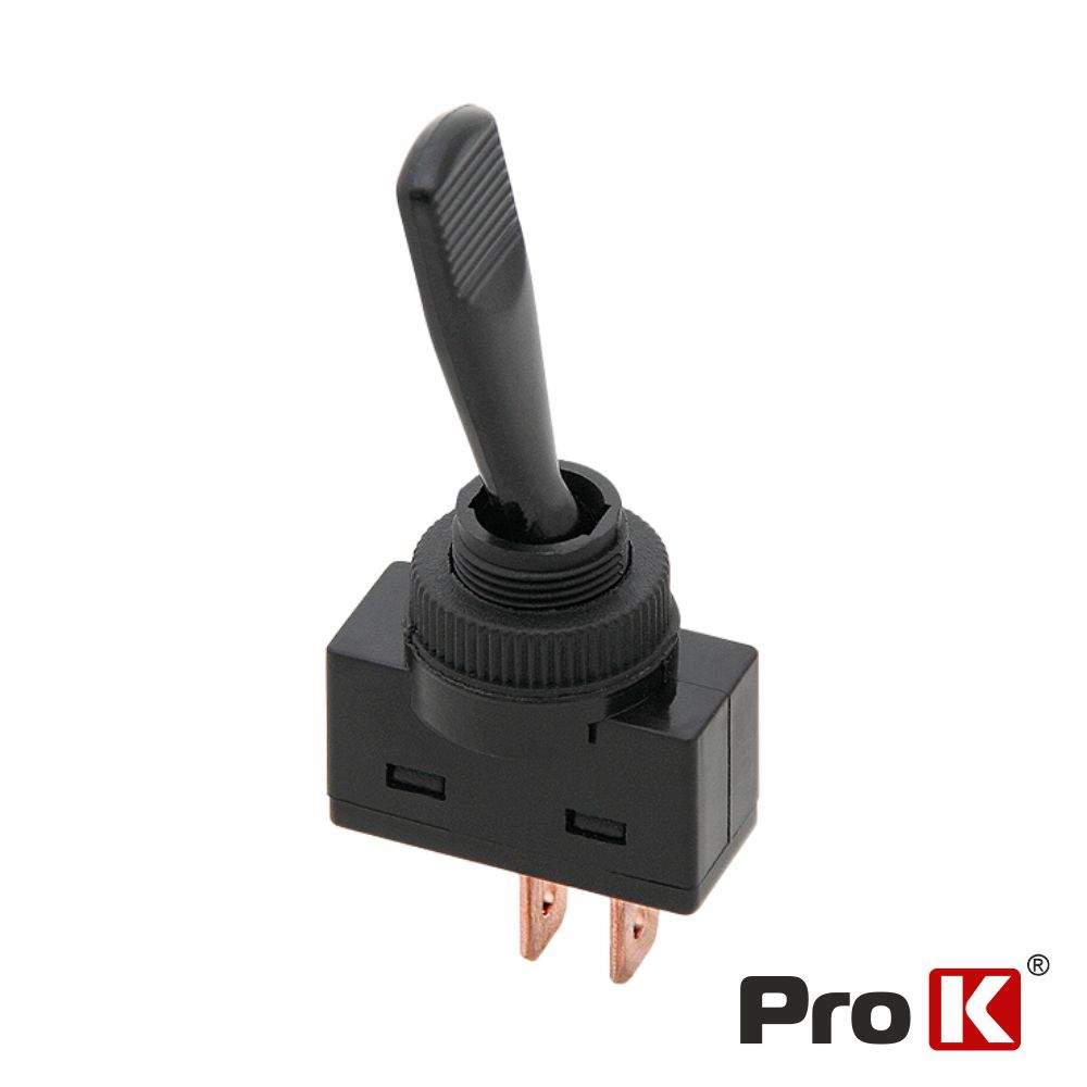 Interruptor Alavanca ASW-13 ON-Off 20A /12V - (ITR110)